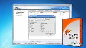 Wing FTP Server Corporate 6.4.8 With Crack [Latest] Download