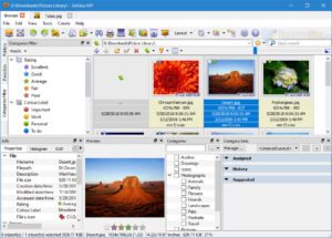 XnView 2.49.3 XnViewMP 0.96.3 Crack [Latets Version] Download 2021